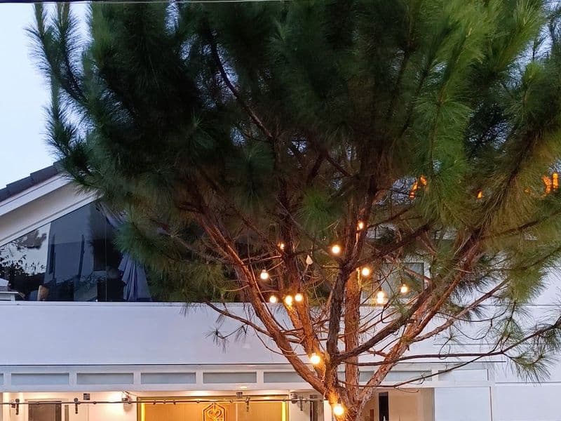 A.N.Y House
