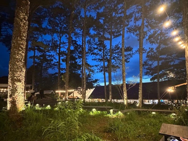 Airdream Forest Station