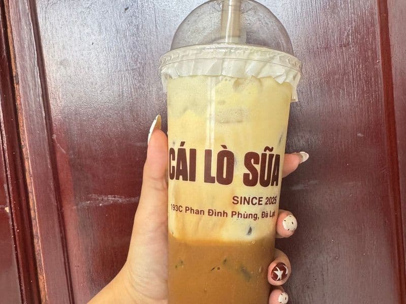 Cái Lò Sữa - Since 2025