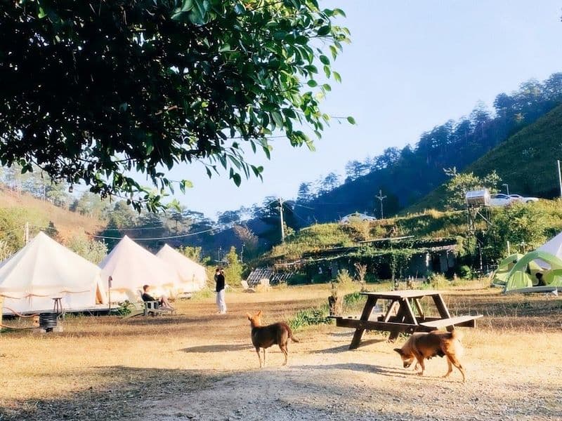 Dalat Camp