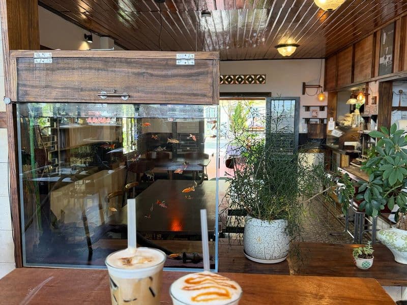 Đậm Đà Lạt Coffee Roasters