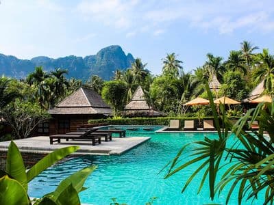 Top 8 Homestay Rừng Thông Đà Lạt — Gần Gũi Thiên Nhiên Nhất 2026