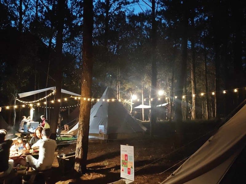 Khu Dã Ngoại - Lux Camp Đà Lạt