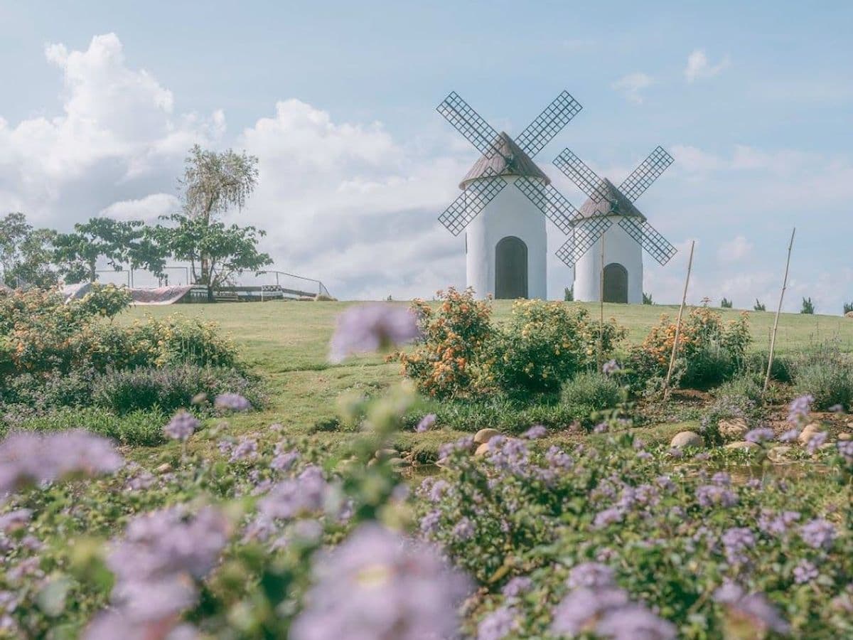 Mongo Land - Đà Lạt — ảnh 1