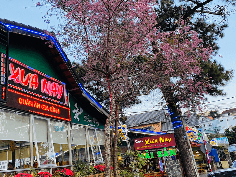Nhà hàng Xưa & Nay