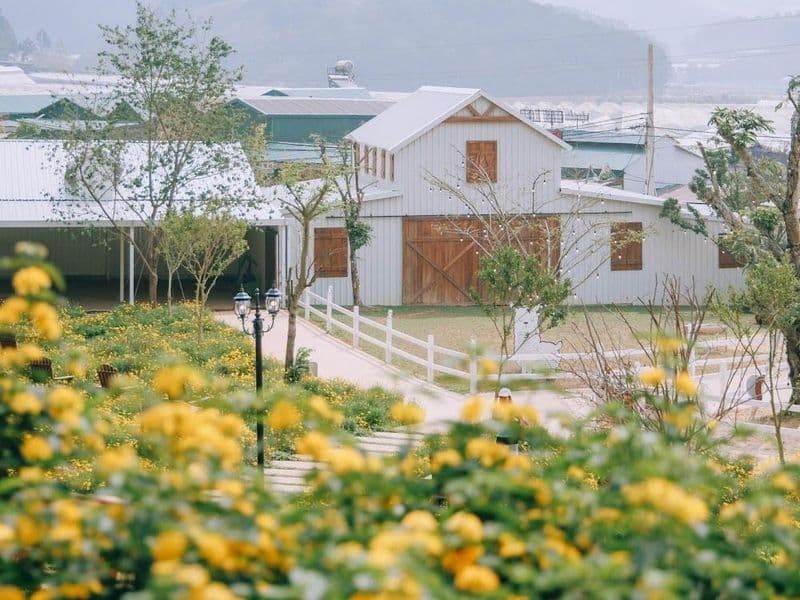 Nông Trại Cún Puppy Farm