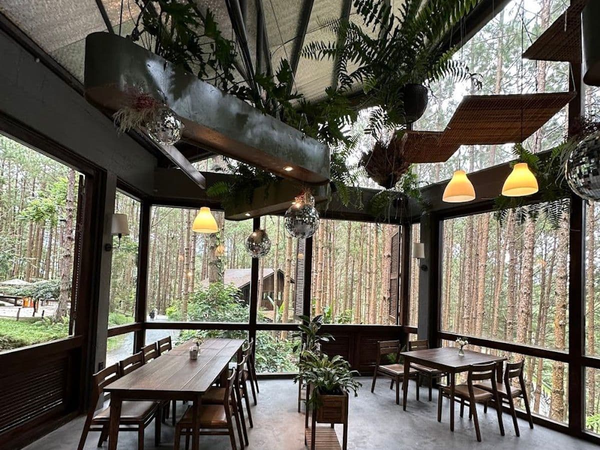 Rừng Thông Mơ Farm & Bistro — ảnh 1