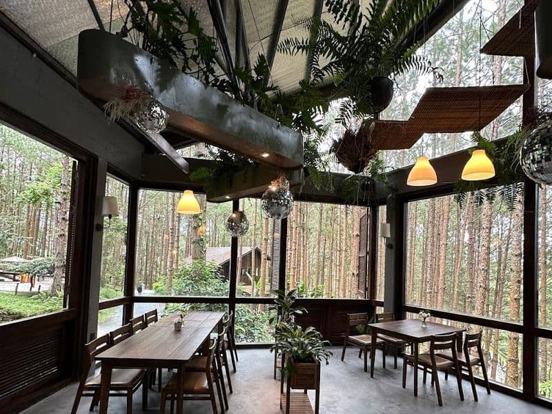 Rừng Thông Mơ Farm & Bistro