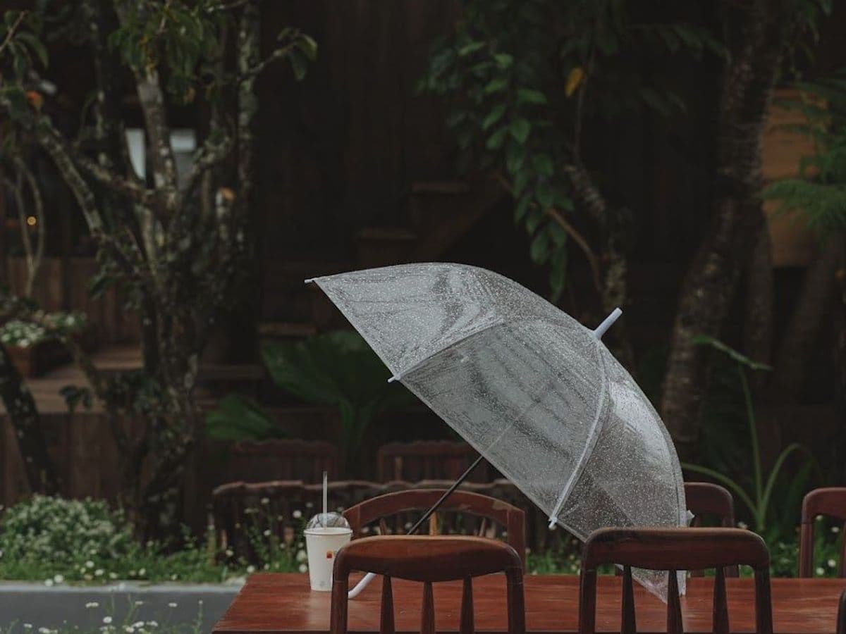 Tiệm cà phê Bình Minh Ơi — ảnh 1