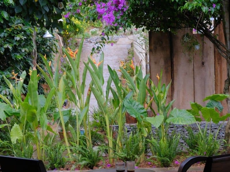 Tiệm cà phê Nắng Thuỷ Tinh