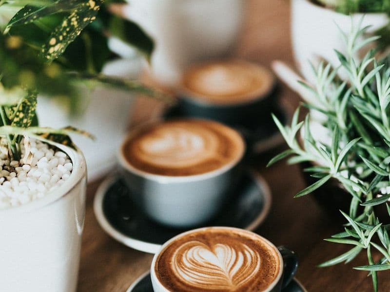 Top 10 Cafe Có View Đẹp Nhất Đà Lạt 2026