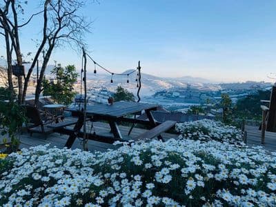Beautiful cafes in Da Lat and 23 addresses attracting young people