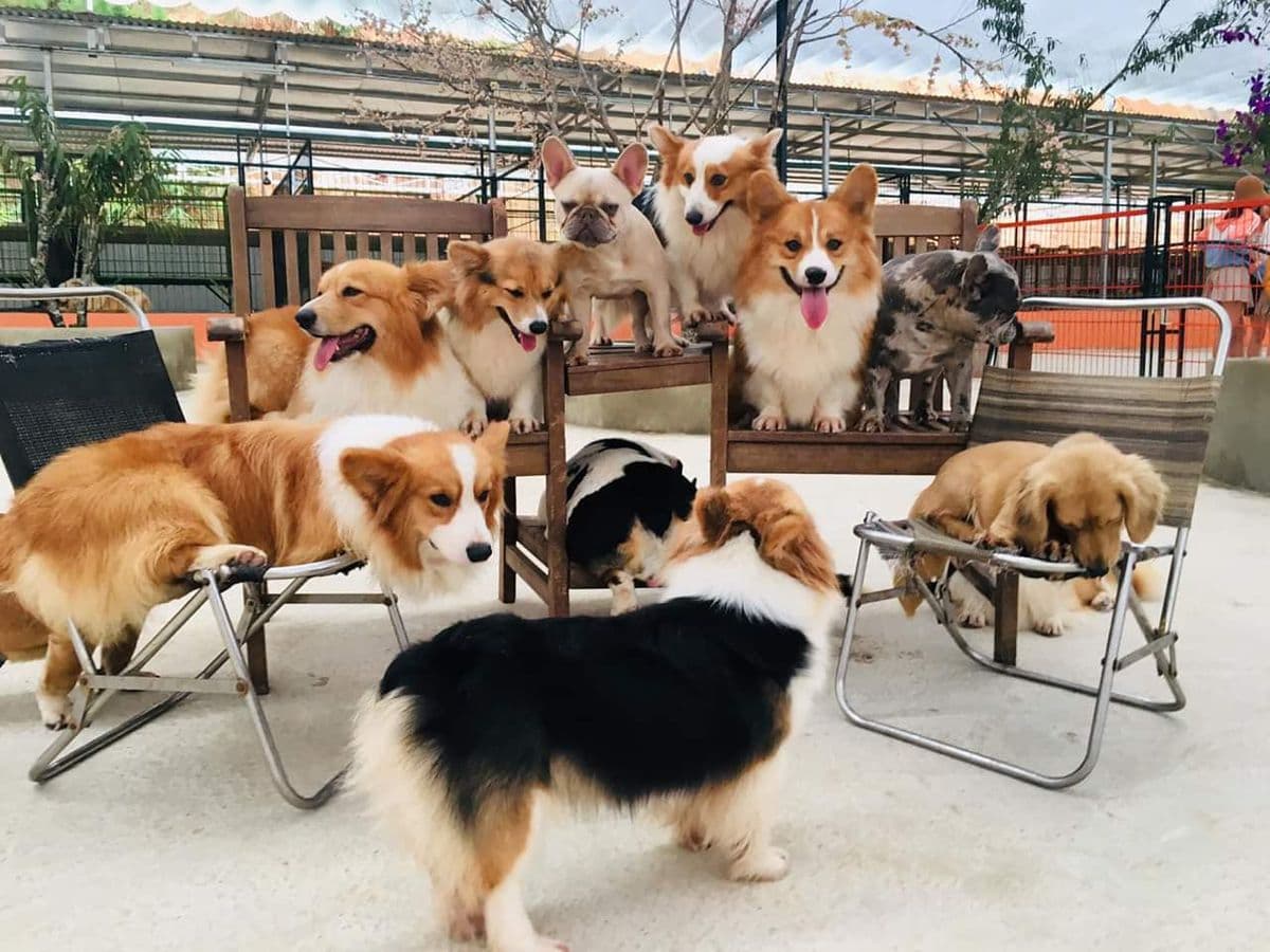 Sở thú Đà Lạt