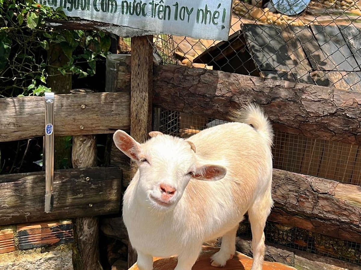 Sở thú Đà Lạt