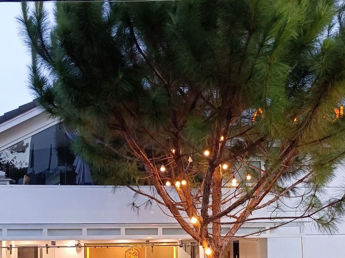 A.N.Y House — ảnh 1