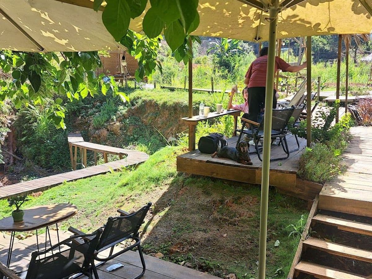 Bao tiền một mớ bình yên — ảnh 1