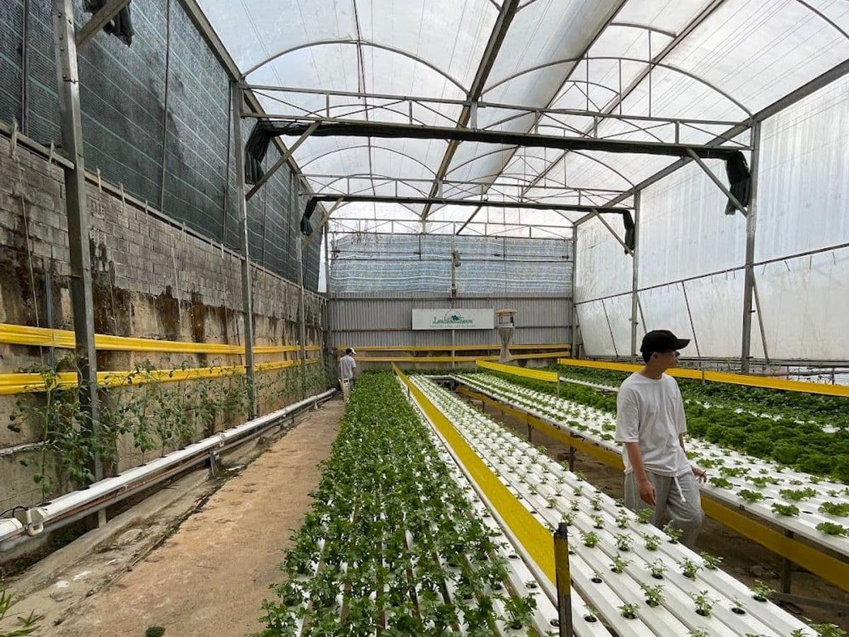 Công Ty TNHH Trang Trại Langbiang — ảnh 1