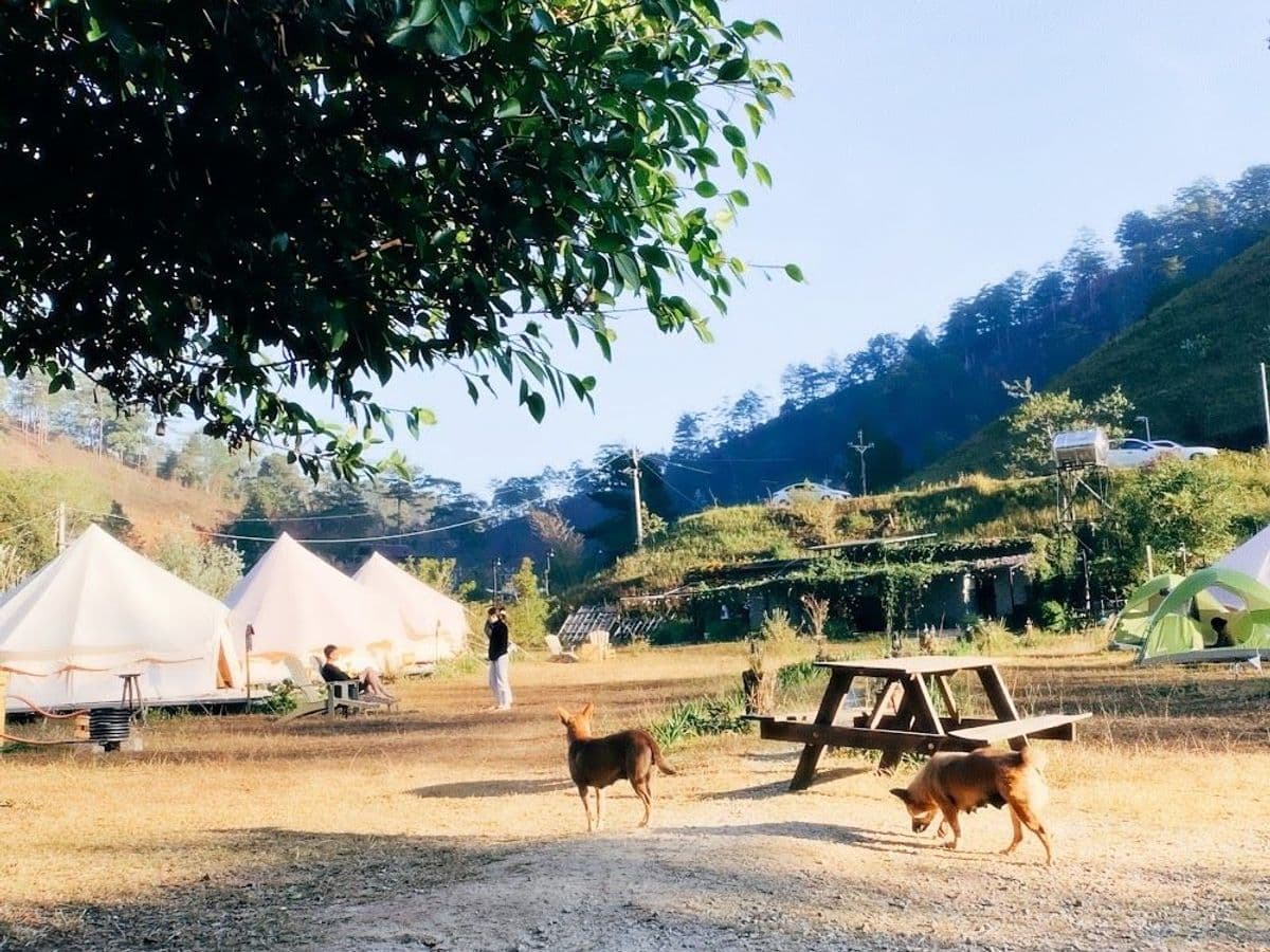 Dalat Camp — ảnh 1