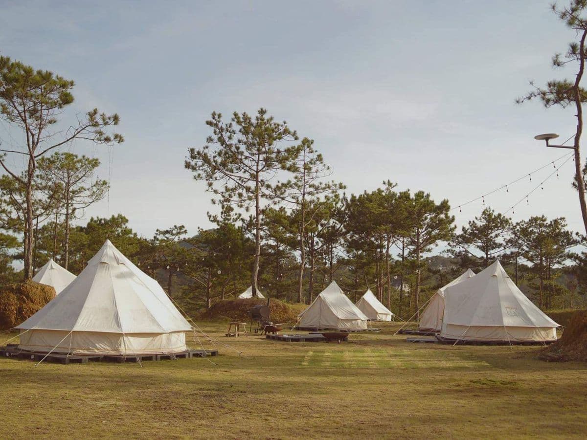 Dâu tây Đà Lạt