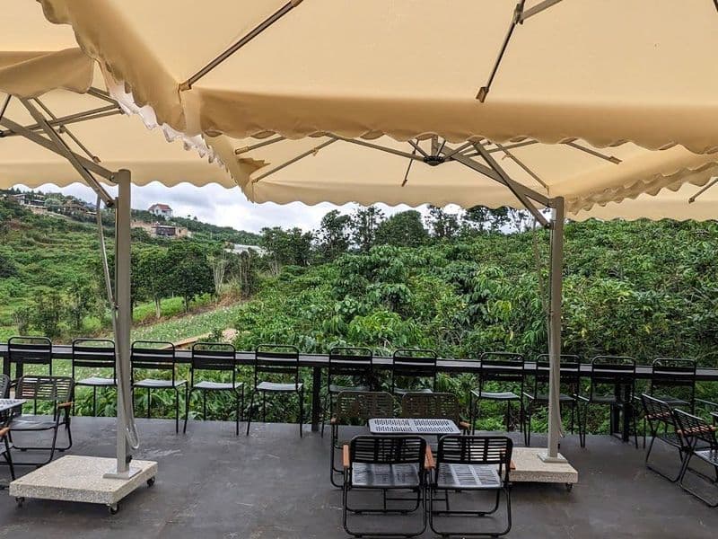 Giấc mơ giữa rừng - Dream Garden Coffee Tà Nung