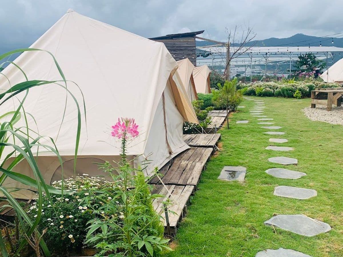 Lon ton Camp Art — ảnh 1