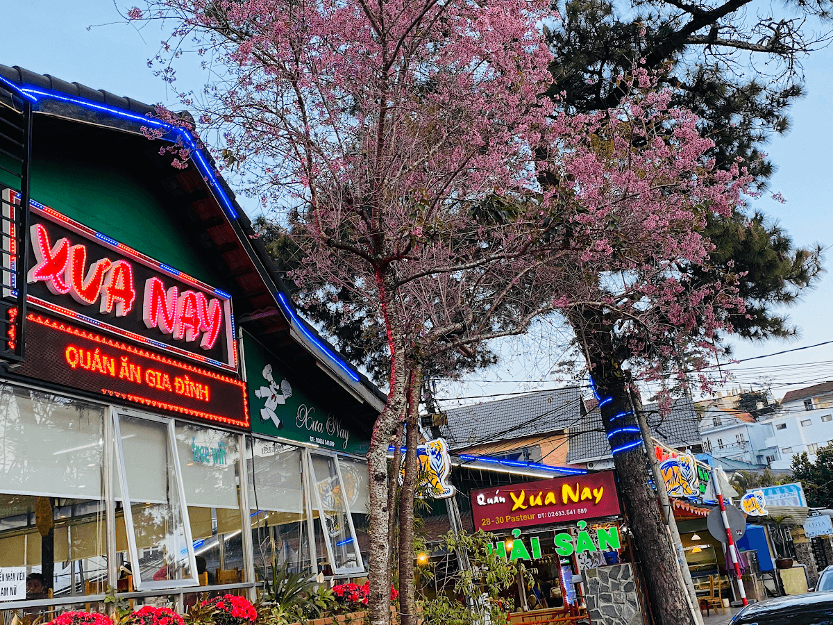 Nhà hàng Xưa & Nay — ảnh 1