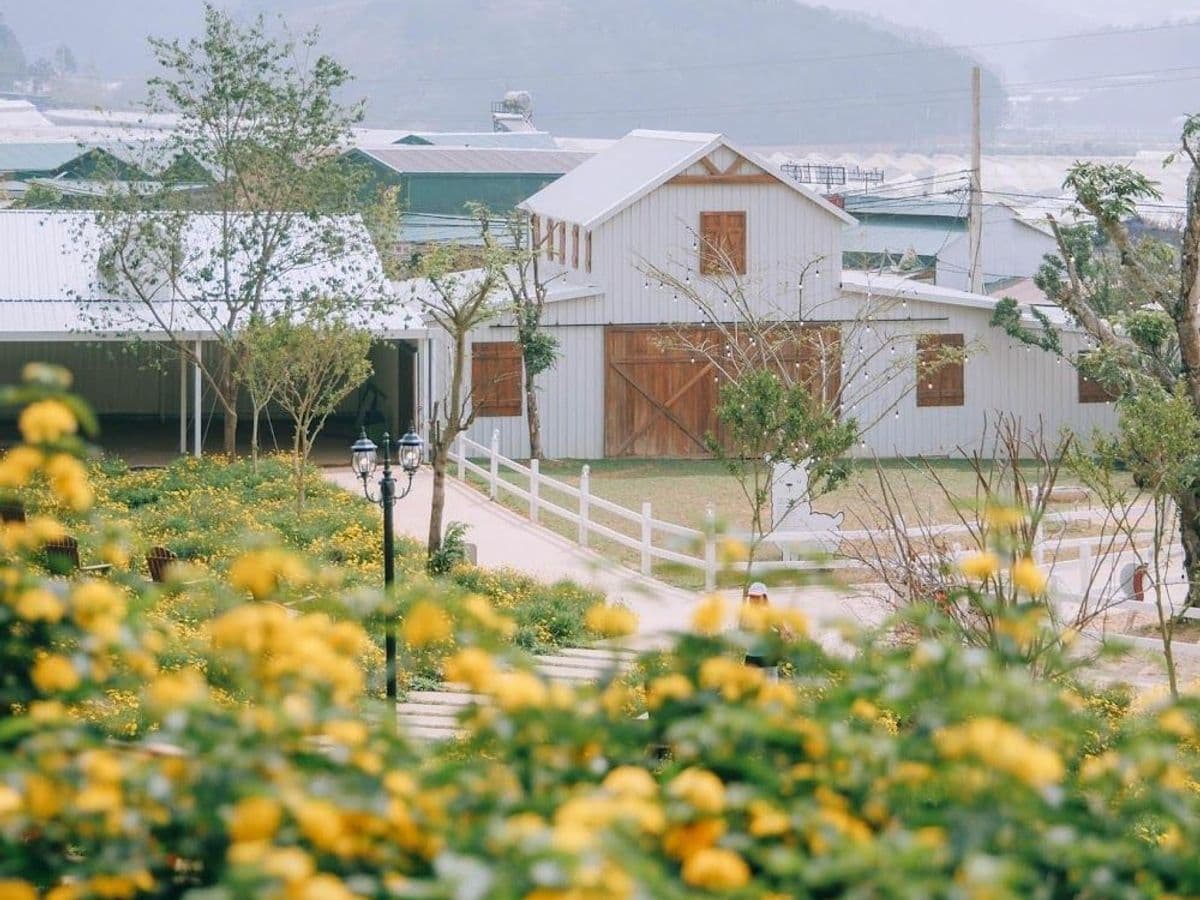 Nông Trại Cún Puppy Farm — ảnh 1