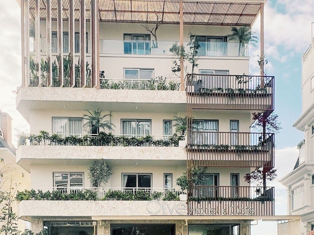 OLIVE HOTEL — ảnh 1