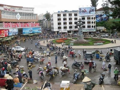 Da Lat Market Guide: Eating Tips and Gift Shopping Secrets 2025