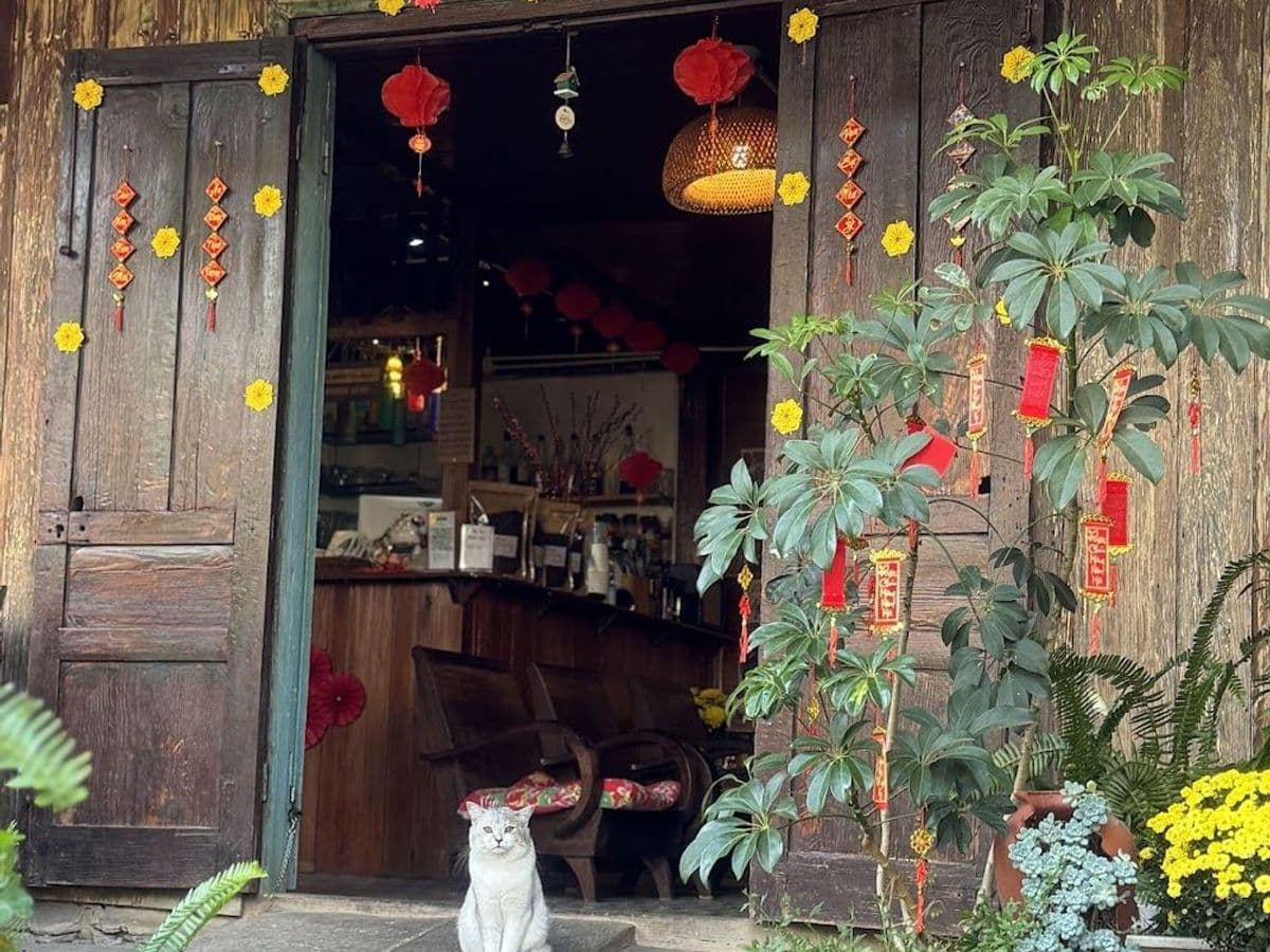Thềm Nhà Có Hoa — ảnh 1