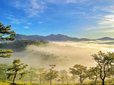 Da Lat weather from Month 1 to Month 12 and travel tips