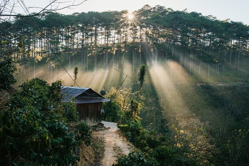 Thời tiết Đà Lạt