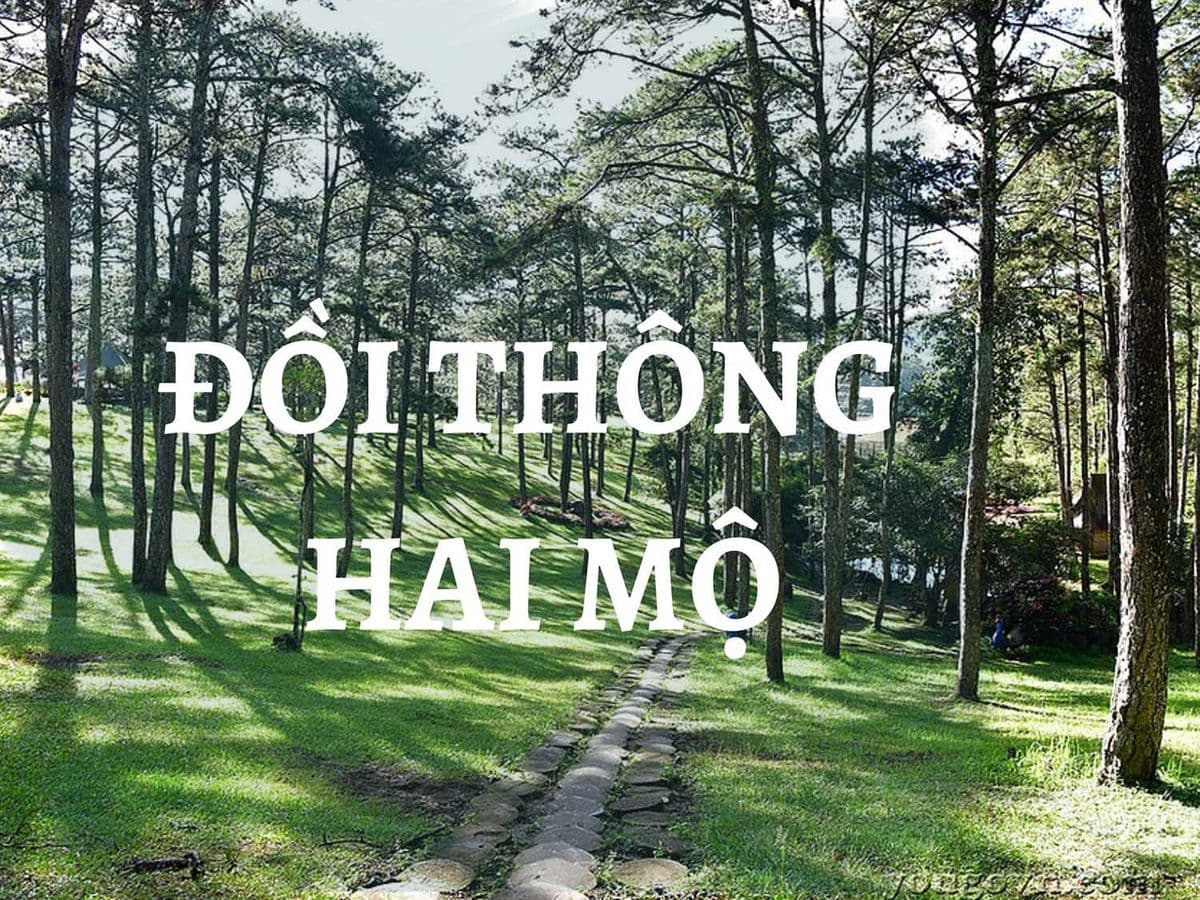 Cảnh đẹp Đà Lạt