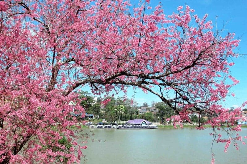 Du lịch Đà Lạt