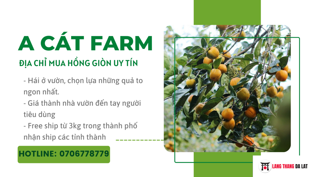 A Cát Farm - Địa chỉ mua hồng giòn Đà Lạt