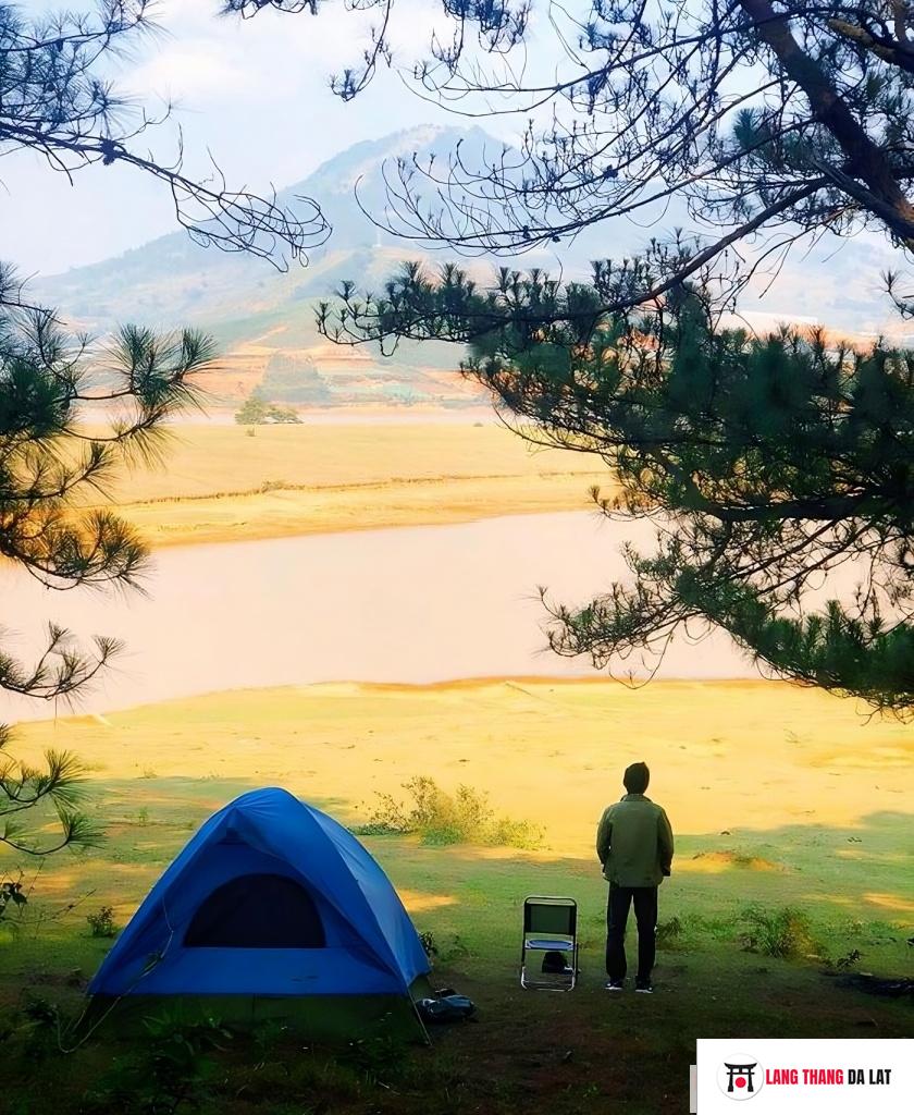 Các địa điểm cắm trại Đà Lạt gần suối, hồ thơ mộng nhất