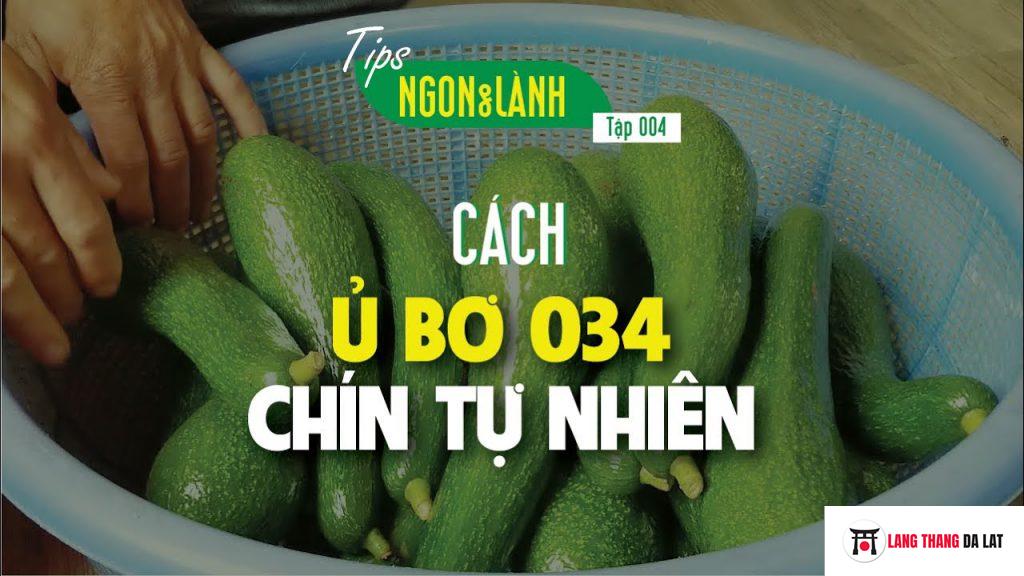 cách ủ bơ chính ngon