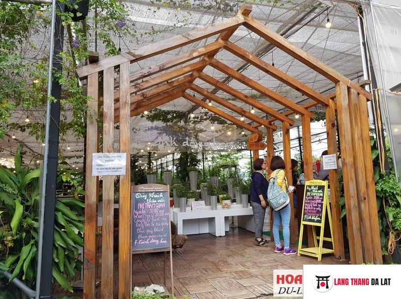 Cafe F cánh đồng hoa địa chỉ Đà Lạt