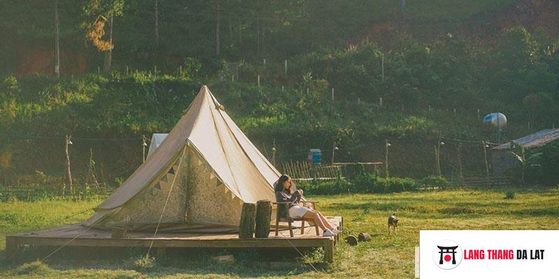 Cắm trại ở Đà Lạt sang chảnh
