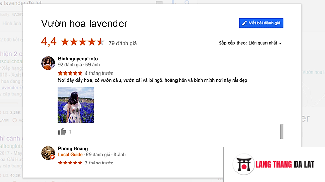 Cánh đồng hoa Lavender Đà Lạt review