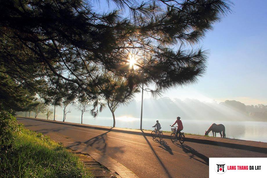 Có nên phượt Đà Lạt hay không