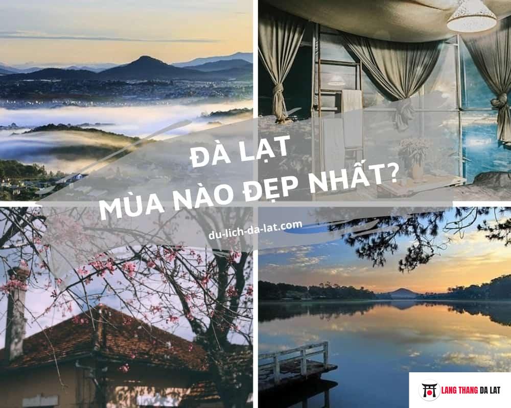 Đà Lạt mùa nào đẹp nhất