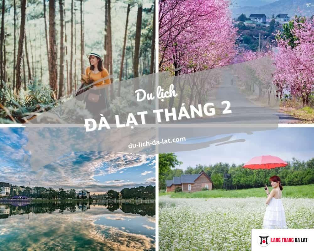 Đà Lạt tháng 2