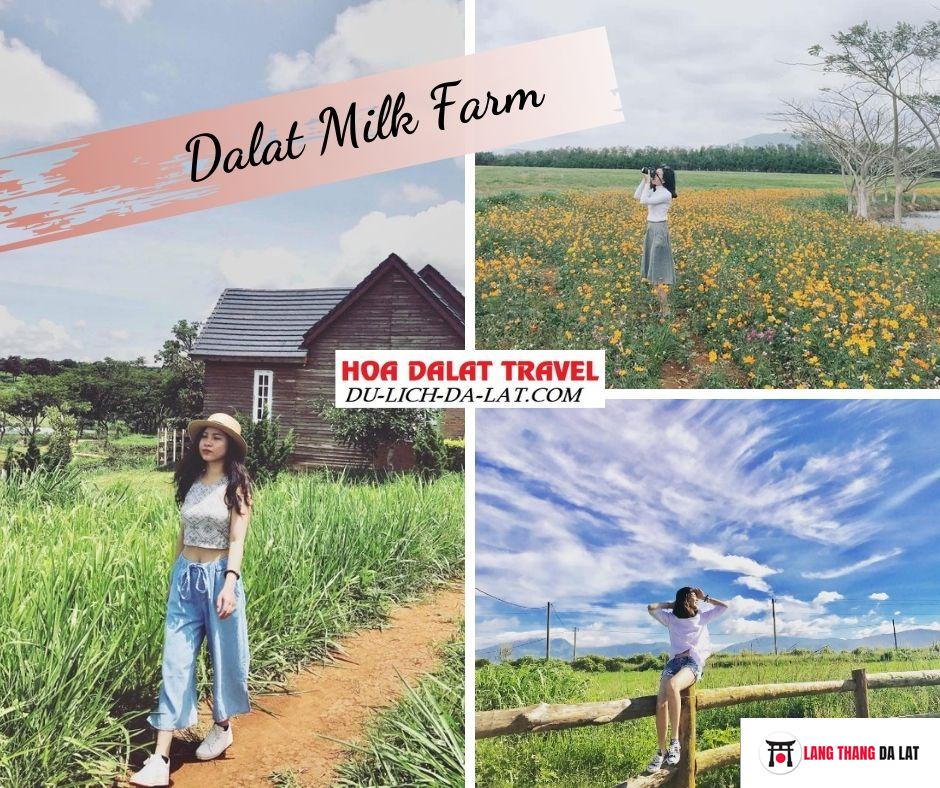 Dalat Milk Farm