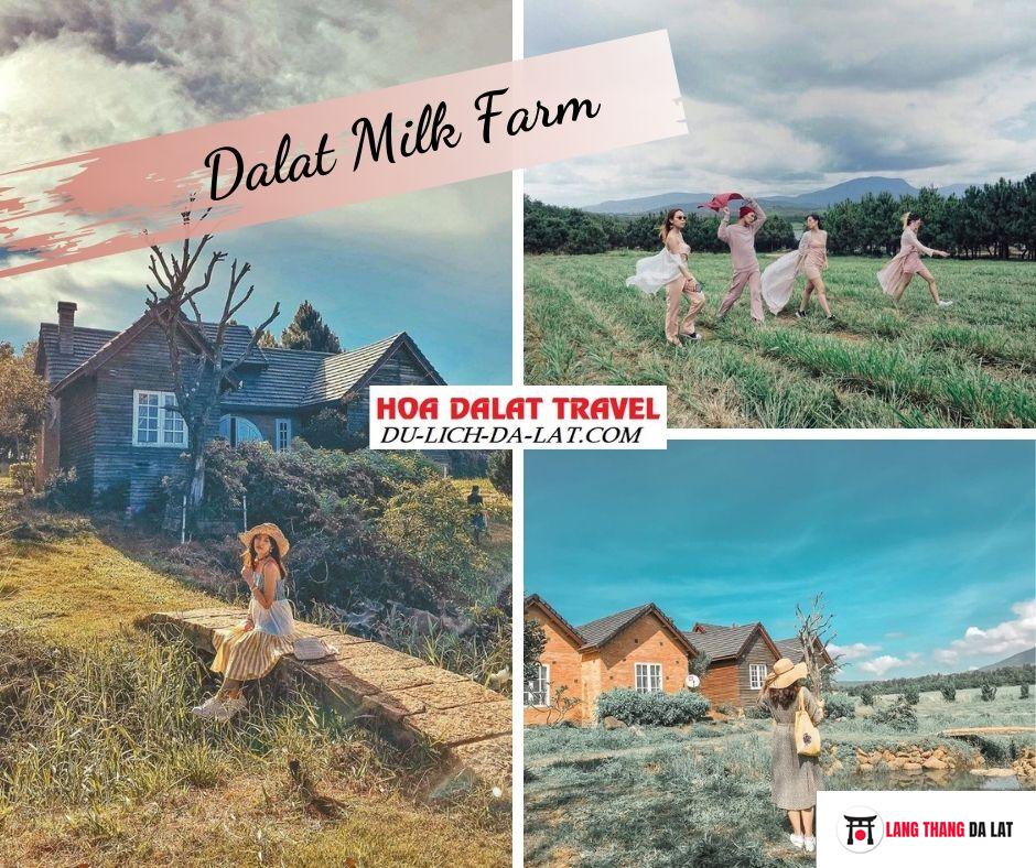 Dalat Milk