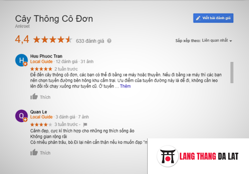 đánh giá cây thông cô đơn Đà Lạt