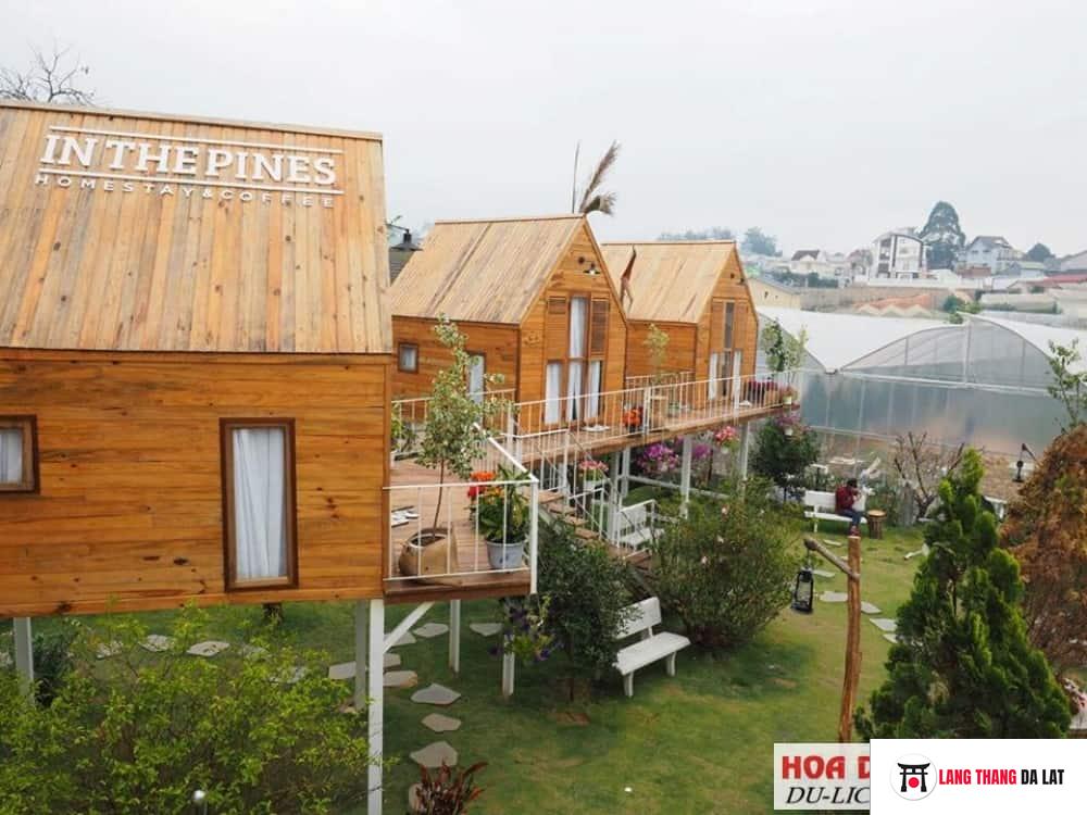 Địa chỉ InThePines