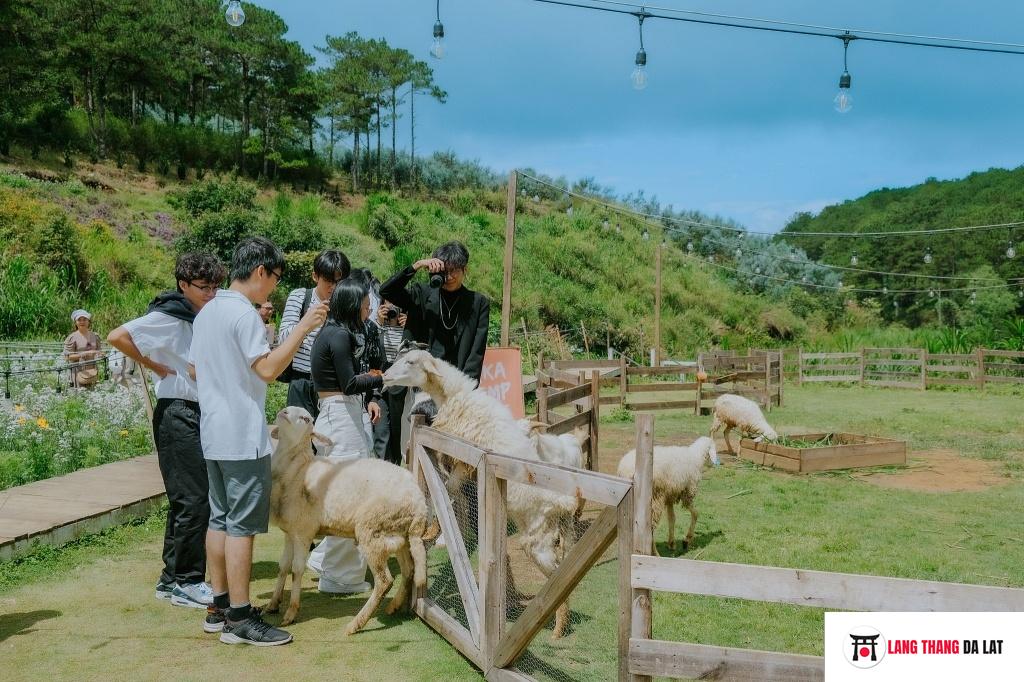 Điểm đến lý tưởng cho gia đình, bạn bè, các cặp đôi yêu nhau