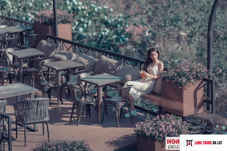 Đôi nét về Cafe F cánh đồng hoa - Khung cảnh