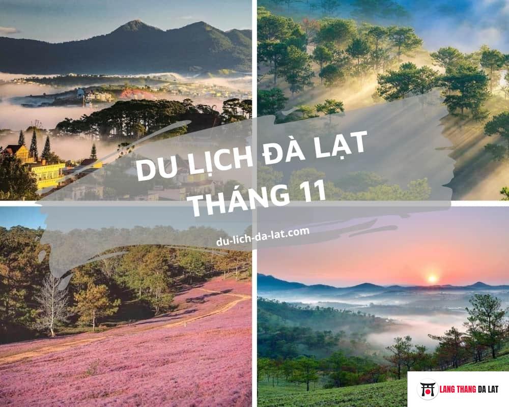 Du lịch Đà Lạt tháng 11